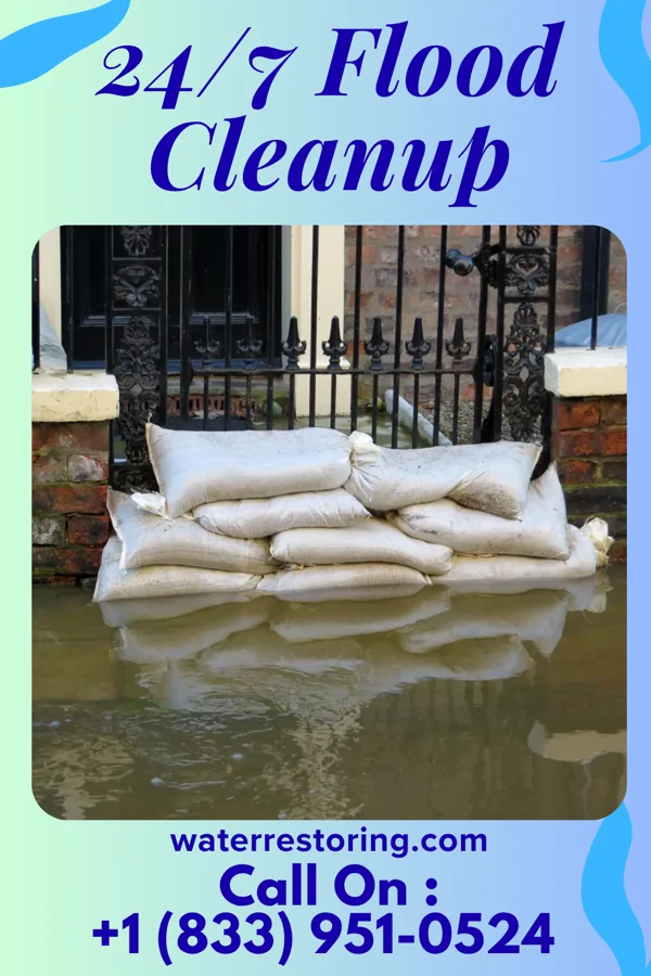 24/7 Flood Cleanup in Grant Park, IL