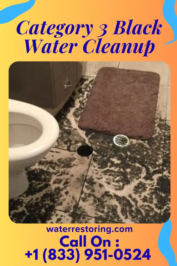 Category 3 Black Water Cleanup in Grant Park, IL