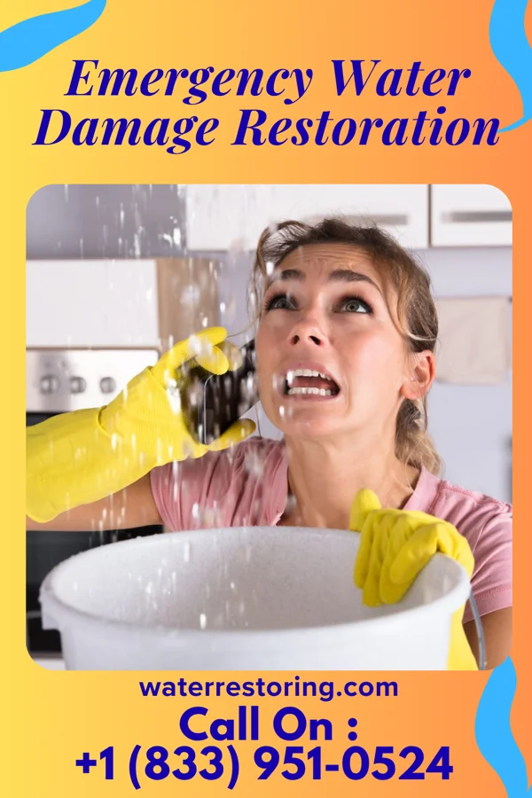 Emergency Water Damage Restoration in Grant Park, IL