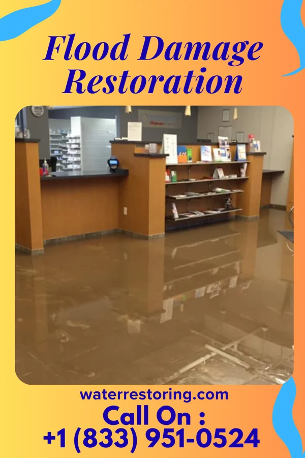 Flood Damage Restoration in Grant Park, IL