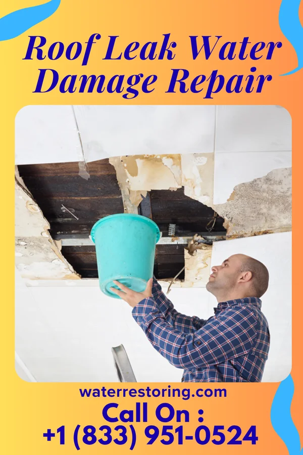 Roof Leak Water Damage Repair in Grant Park, IL