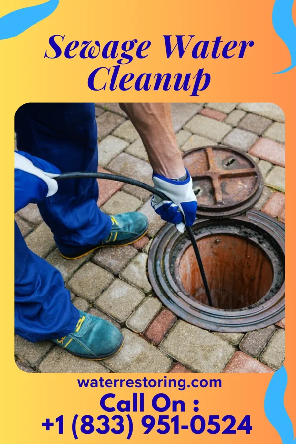 Sewage Water Cleanup in Grant Park, IL